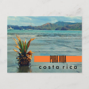 Costa Rica Pineapple on the Beach Postcard