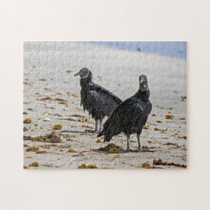 Costa Rica, Punta Cahuita - Black vultures Jigsaw Puzzle