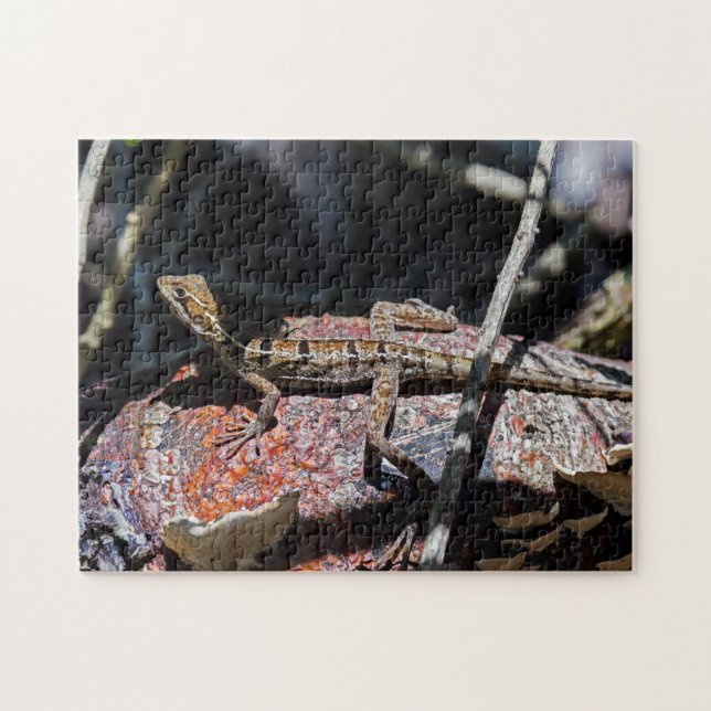 Costa Rica, Punta Cahuita - Female basilisk Lizard Jigsaw Puzzle (Horizontal)