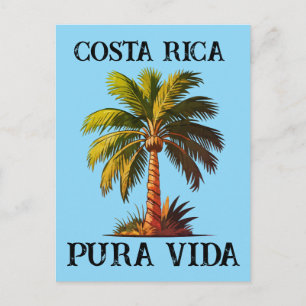 Costa Rica pura vida palm tree poster Postcard