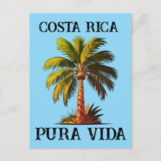 Costa Rica pura vida palm tree poster Postcard