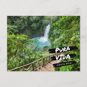 Costa Rica Pura Vida Rio Celeste Postcard