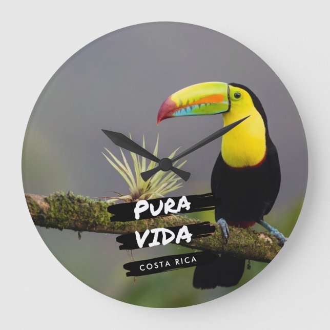 Costa Rica Pura Vida Toucan Photo Large Clock (Front)