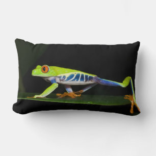 Costa Rica, Red-eyed Tree Frog (Agalychnis Lumbar Cushion