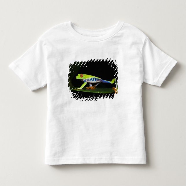 Costa Rica, Red-eyed Tree Frog (Agalychnis Toddler T-Shirt (Front)
