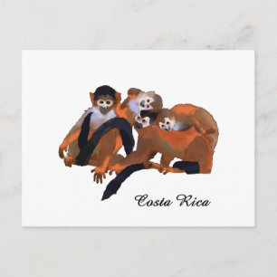 Costa Rica Titi Monkey Postcard