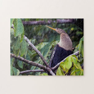 Costa Rica, Tortuguero - Anhinga Jigsaw Puzzle