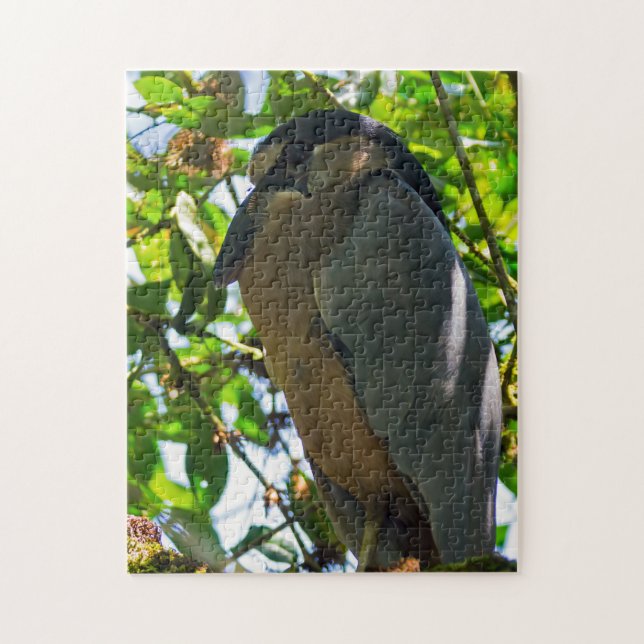 Costa Rica, Tortuguero - Boat-billed Heron Jigsaw Puzzle (Vertical)