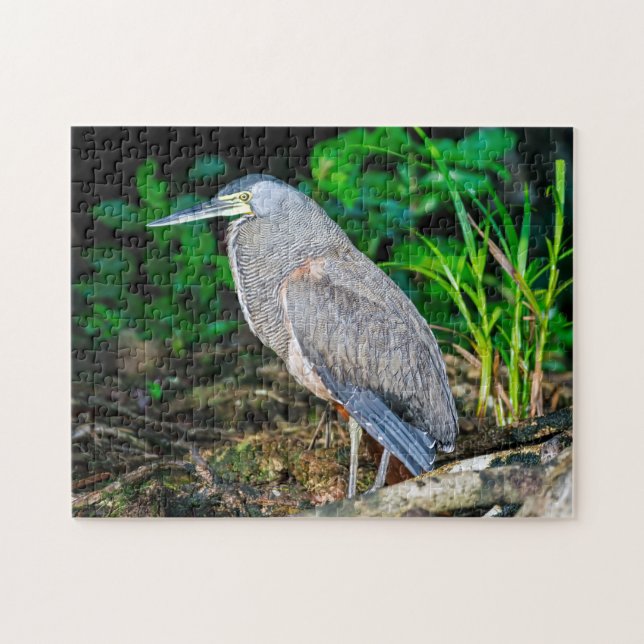 Costa Rica, Tortuguero - Heron Jigsaw Puzzle (Horizontal)