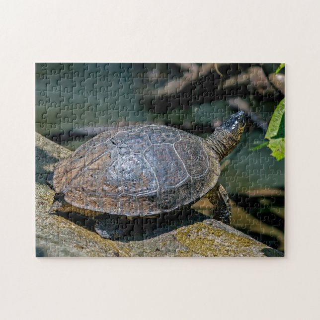 Costa Rica, Tortuguero - River Turtle Jigsaw Puzzle (Horizontal)