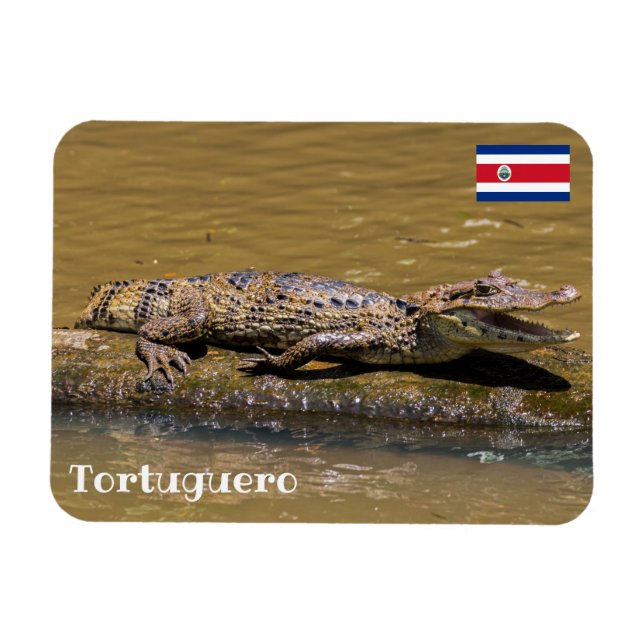 Costa Rica, Tortuguero - Smilling crocodile Magnet (Horizontal)