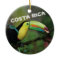 Costa Rica Toucan