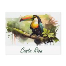 Costa Rica Toucan