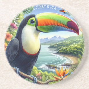 Costa Rica Toucans, Pura Vida Coaster