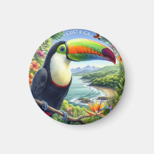 Costa Rica Toucans, Pura Vida Magnet