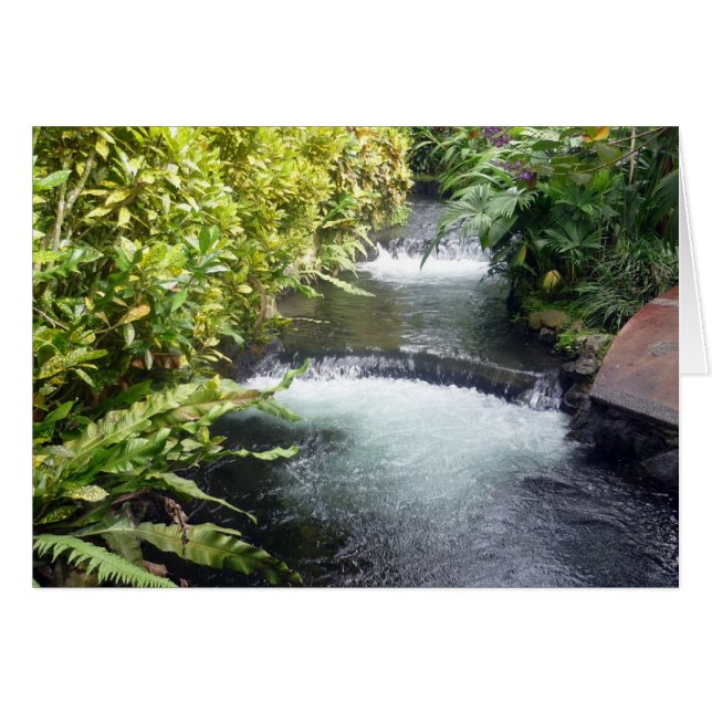 costa rica waters (Front Horizontal)