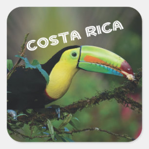 Costa Rica with colourful Toucan Square Sticker