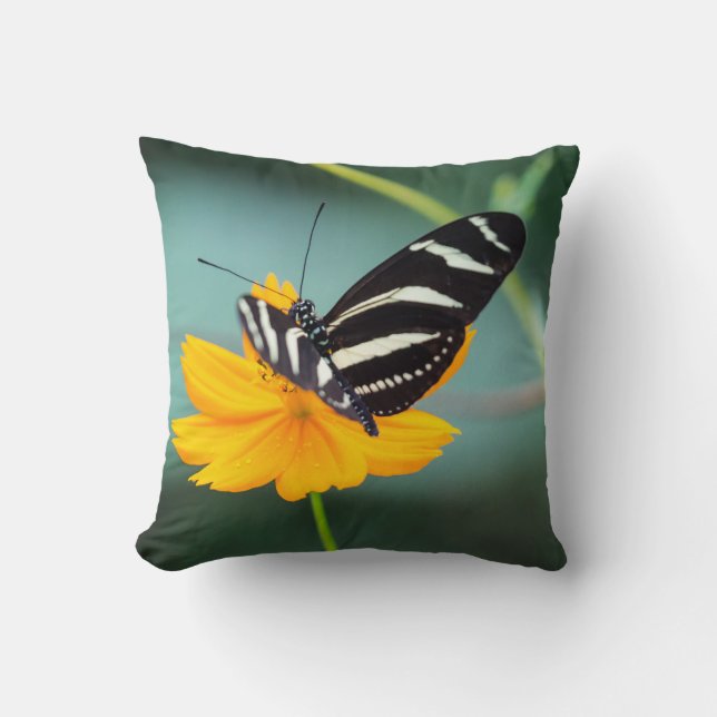 Costa Rica - Zebra Longwing Butterfly Cushion (Front)