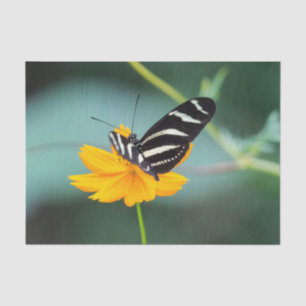 Costa Rica  - Zebra Longwing Butterfly Tissue Paper