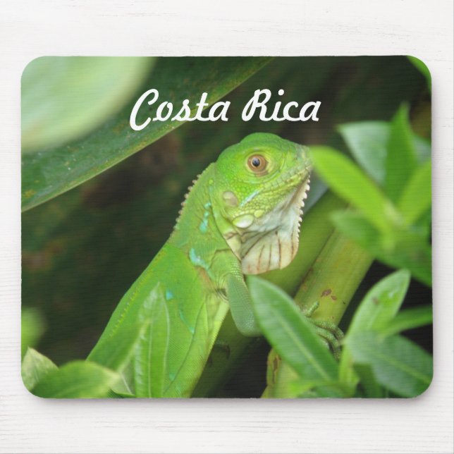 Costa Rican Lizard Mouse Pad (Front)