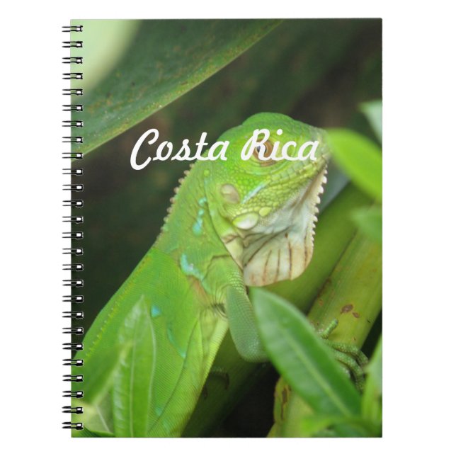Costa Rican Lizard Notebook (Front)