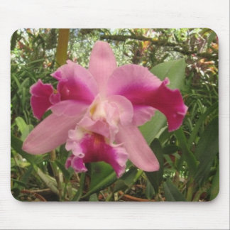 Costa Rican Orchid Mouse Pad