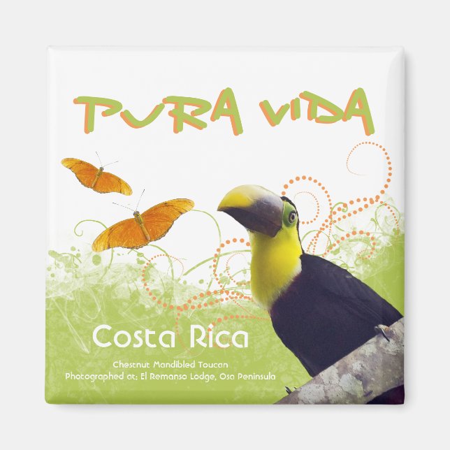 Costa Rican Pura Vida Magnet (Front)