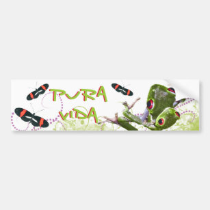 Costa Rican Pura Vida Tree Frog Bumper Sticker