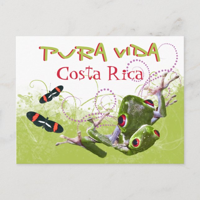 Costa Rican Pura Vida Tree Frog Postcard (Front)