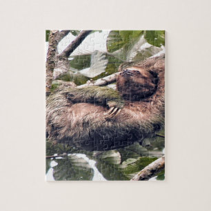 Costa. Rican sloth Jigsaw Puzzle