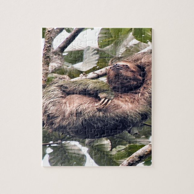 Costa. Rican sloth Jigsaw Puzzle (Vertical)