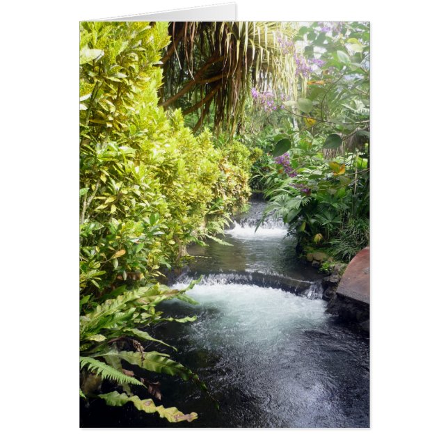 costa waters (Front)