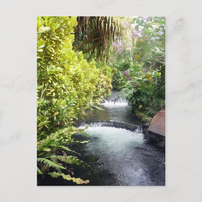 costa waters postcard (Front)
