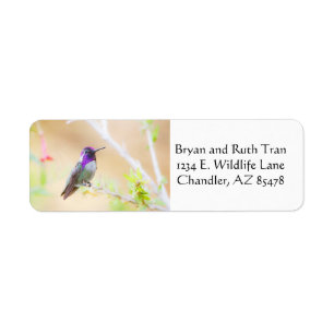 Costa's amongst the foliage return address label