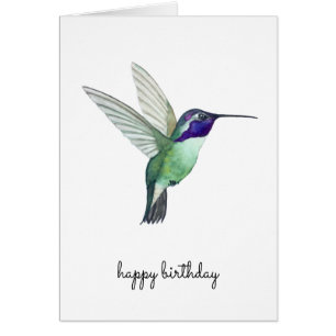 Costa's Hummingbird Birthday Card