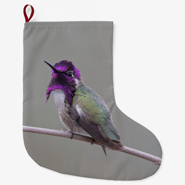 Costa's hummingbird large christmas stocking (Front)