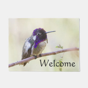 Costa's  Hummingbird perched on a branch Doormat