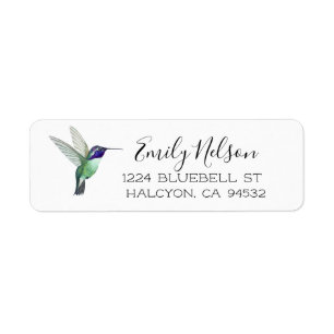 Costa's Hummingbird Return Address Label