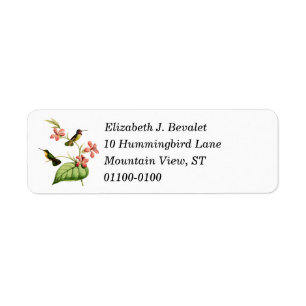 Costa's Hummingbird Return Address Labels