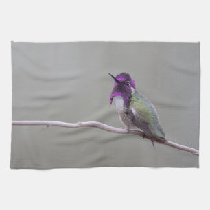 Costa's hummingbird tea towel