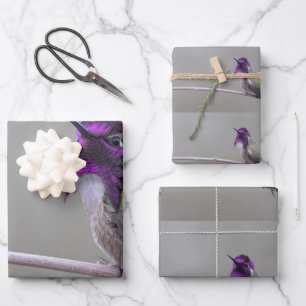 Costa's hummingbird wrapping paper sheet