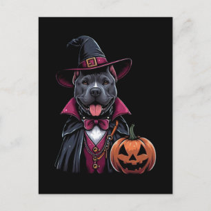 Costumed Pitbull Halloween Postcard
