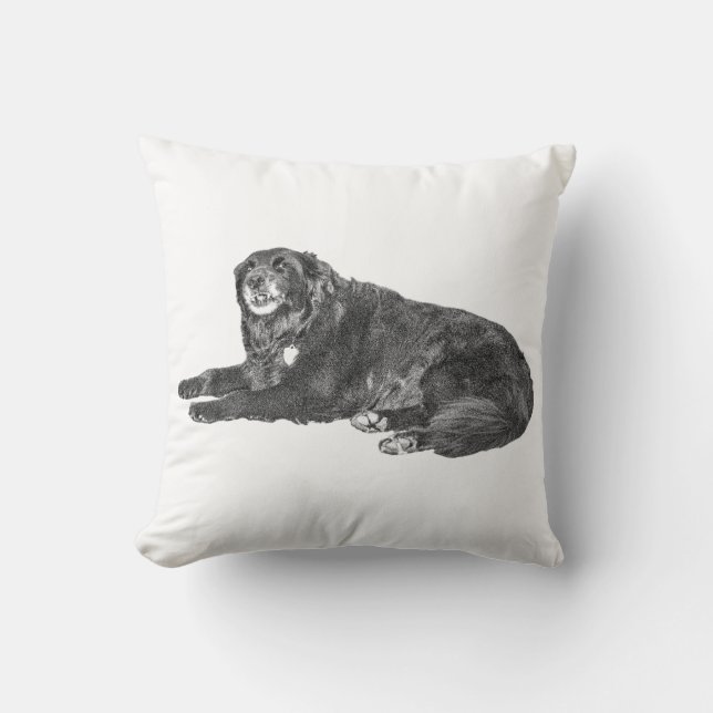 Cosy Black Dog Pillow for Fall Decor (Front)