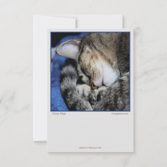 Cosy Cats (Front)