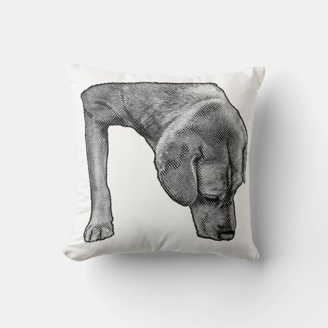 Cosy Chair, Dotty Scout Cushion (Front)