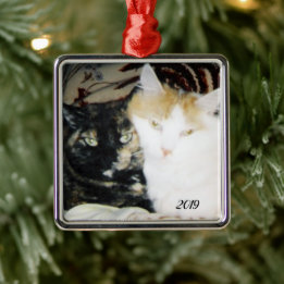 Cosy Cheek to Cheek Cats Photo with Year Metal Ornament