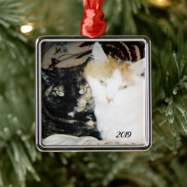 Cosy Cheek to Cheek Cats Photo with Year Metal Ornament (Tree)