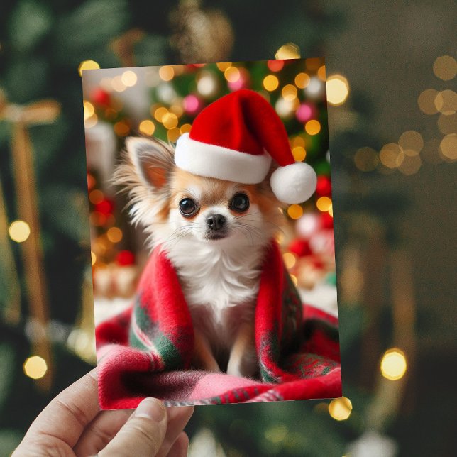  Cosy Chihuahua Christmas Card (Creator Uploaded)