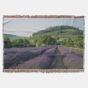 "Cosy Comfort Throw Blanket – Soft, Stylish & Warm