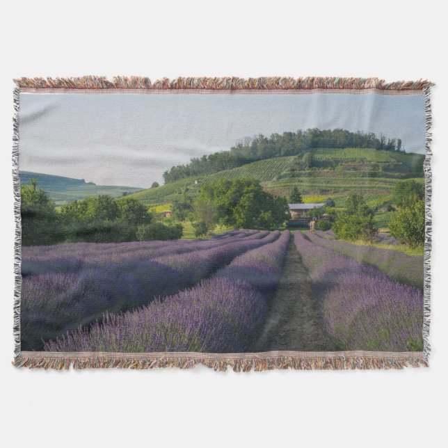 "Cosy Comfort Throw Blanket – Soft, Stylish & Warm (Front)